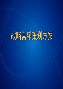 战略营销与广告策划