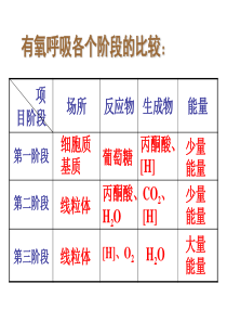 光合作用(共70张PPT)