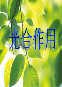 光合作用发现史及实验上课用