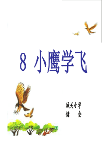 《小鹰学飞》课件