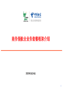 中国电信商务领航全业务营销套餐框架ppt40