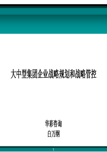 华彩咨询-大中型集团企业战略规划和战略管控