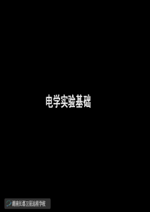 08.11.28高三物理《电学实验基础》(课件)