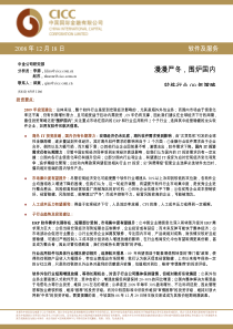 中金公司－软件行业09年投资策略报告