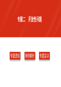 2016届中考数学复习专题2+开放性问题