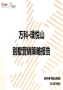 2012年 深圳 万科 璞悦山 别墅 营销策略 报告