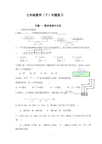 七年级数学(下)专题复习