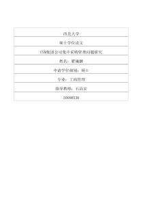 csm集团公司集中采购管理问题研究