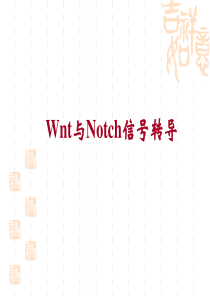 10.Wnt与Notch信号传导(正式)