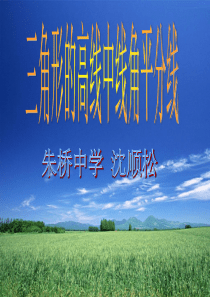 沪科版八年级上册14.1.3三角形的角平分线、中线、高线.ppt