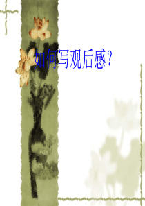 观后感的写作ppt课件