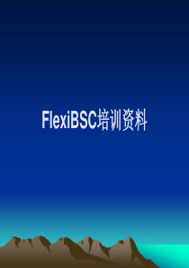 FlexiBSC培训资料