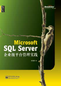 Microsoft+SQL+Server 企业平台管理实践