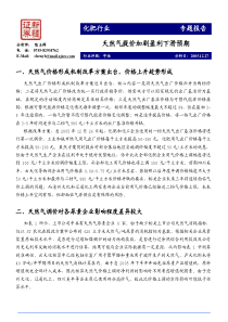 化肥行业专题报告PDF4天然气提价加剧盈利下滑预期(1)