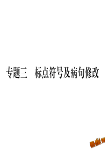 专题三标点符号及病句修改