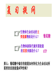 浙科生物必修1第三章第四节 细胞呼吸正式