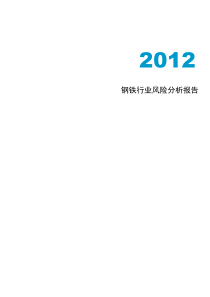 XXXX年钢铁行业风险分析报告(1)