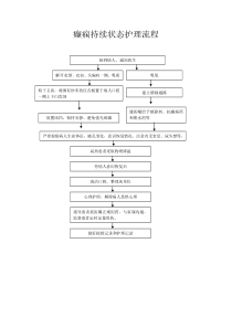 癫痫持续状态护理流程