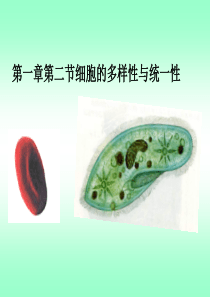 高中生物必修一第一章第二节细胞的多样性和统一性 课件2