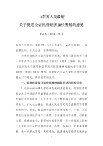 山东省人民政府关于促进全省民营经济加快发展的意见