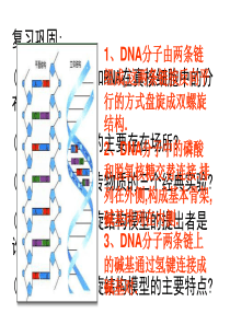 2013年最新高中生物精品教学课件：5.1 DNA的粗提取与鉴定(3)(人教版选修1)