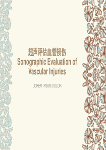 超声评估血管损伤