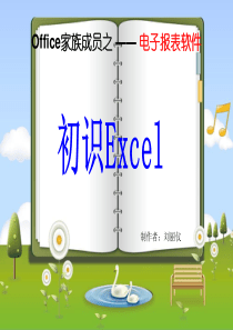 Excel2003电子表格软件