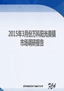 2015年3月份万科阳光美镇_市场调研报告48p