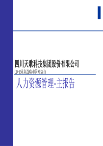 tiange公司人力资源管理报告