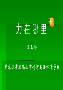 苏教版科学《力在哪里》课件