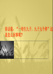 苏教版科学六下《生物的变异现象》PPT课件