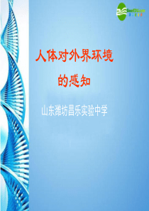 七年级生物下册 第三单元第五章第四节人体对周围世界的感知课件 济南版