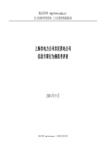 上海市电力公司市区供电公司信息专职行为规范考评表