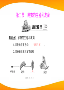 《随堂优化训练》2011年八年级生物下册 第七单元 第一章 第二节 昆虫的生殖和发育 配套课件 人教