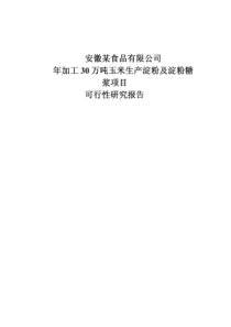 年加工30万吨玉米生产淀粉及淀粉糖浆项目可行性研究报告