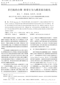 20多巴胺的自聚_附着行为与膜表面功能化_徐又一