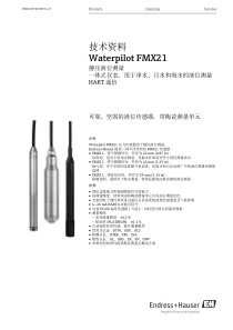 E+H静压式液位计FMX21