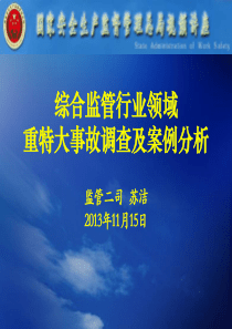 《综合监管行业领域重特大事故调查及案例分析》