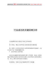 【精品文档】行业成功的关键因素分析