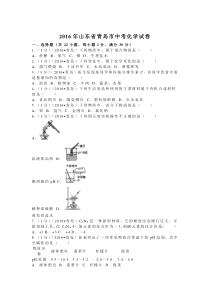 2016年山东省青岛市中考化学试卷及详细解析