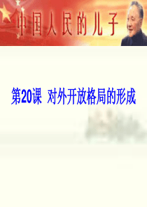 20-对外开放格局的形成(文科)