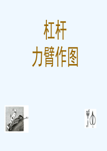 杠杆作图专题课件