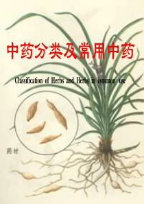 12-中药分类及常用中药