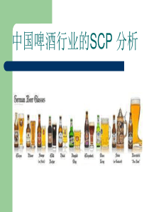 中国啤酒行业的SCP分析