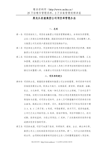 12黑龙江辰能集团公司项目库管理办法