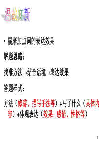 赏析句子的表达效果ppt课件