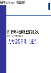 XX公司人力资源管理报告