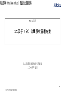 XX公司及子（分）公司股权管理方案(1)