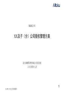 xx公司及子（分）公司股权管理方案-ppt139页