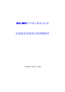 中国上海电力行业市场前景及投资分析预测报告